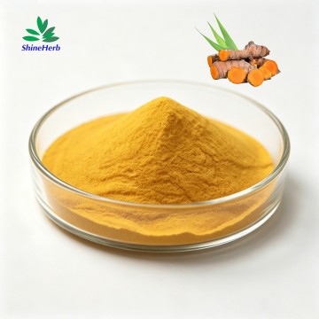 Curcumin Extract Natural Turmeric Root Extract for Healthcare Supplement