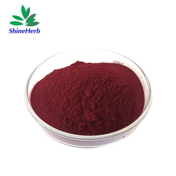 Shineherb Hochwertiges Vitamin B12 Cyanocobalamin-Pulver in Lebensmittelqualität