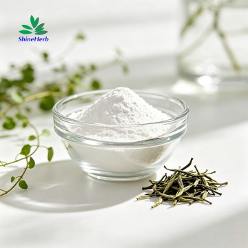 High quality Dihydromyricetin Powder supplier Vine Tea Extract for Liver health