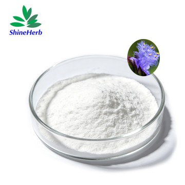 Bulk Natural Ecdysterone / 20-Hydroxyecdysone Raw Material for Sports Supplements