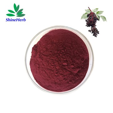 批发接骨木提取物天然花青素原料