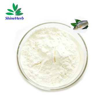 Bulk Fish Collagen Peptide Powder Manufacturer Food & Cosmetic Grade Raw Material