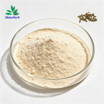 High Purity Genistein 98% From Natural Phytoestrogen for Menopause Support Non-GMO