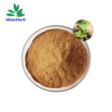 Shineherb Supply Ginkgo Biloba Extract 24% Flavonoids for Supplements Ingredients