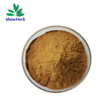 Natural Cistanche Tubulosa Extract Echinacoside 20% Bulk