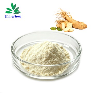 High Quality Ginseng Extract manufacturer supply