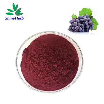 天然葡萄籽提取物粉末，含95%原花青素，用于抗衰老护肤