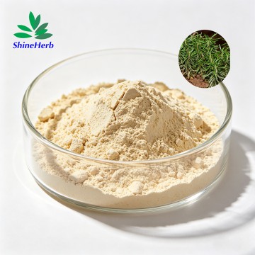 天然石杉碱粉 CAS 102518-79-6 蛇足石杉提取物