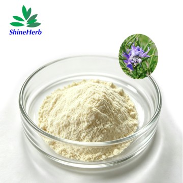 Natural Rosemary Extract 98% Rosmarinic Acid supplier