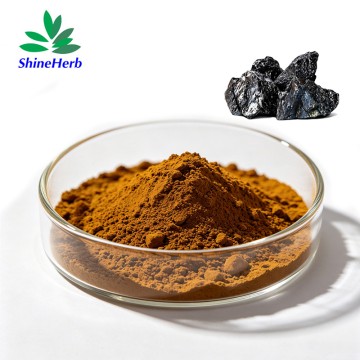 Shilajit-Extraktpulver (20–50 % Fulvinsäure) – Nahrungsergänzungsmittel zur Energiegewinnung (direkt vom Hersteller)