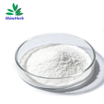 Food Grade Sodium Caseinate supplier