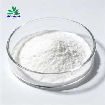 Spermidinhydrochlorid – Natürliches Anti-Aging-Mittel für Hautpflege und als Nahrungsergänzungsmittel