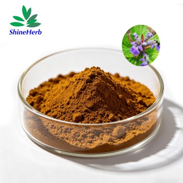2%-40% Turkesterone supplier Natural Ajuga Turkestanica Extract