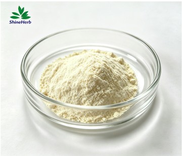 Bulk Vitamin A Palmitate Powder Manufacturer for Supplement