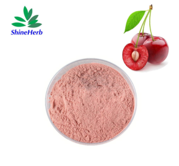 Bulk wholesale Acerola Cherry Extract Acerola Cherry Powder