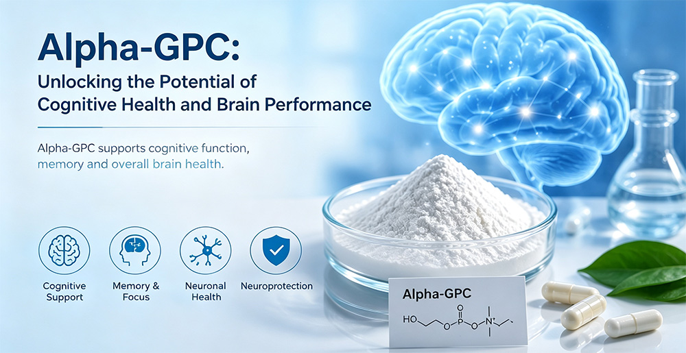 Alpha-GPC 2.jpg