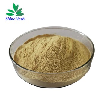 High Quality Banana Leaf Extract Natural Extract Corosolic Acid
