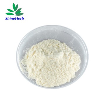 Natural Freeze Dried Honey Powder for Dietary Supplement
