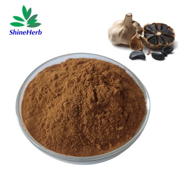 工厂直供黑蒜提取物 1% 袋粉