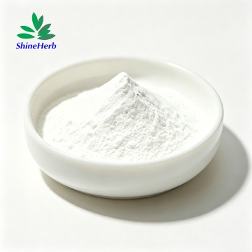 Bulk Noopept Powder 99% GVS-111 Nootropics Supplement Raw Material