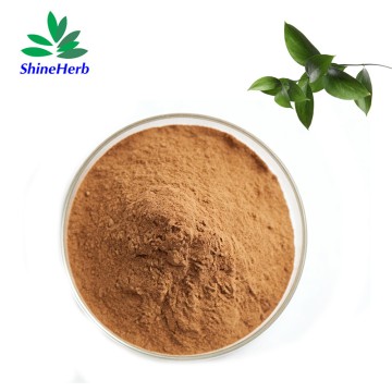 Shineherb Supply Butchers Broom Extract Natural Plant Extract