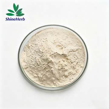 Enzimas aromatizantes al por mayor para la elaboración de condimentos, panadería y procesamiento de productos lácteos.