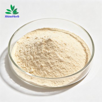 Shineherb Supply α-galactosidasa en polvo de alta actividad