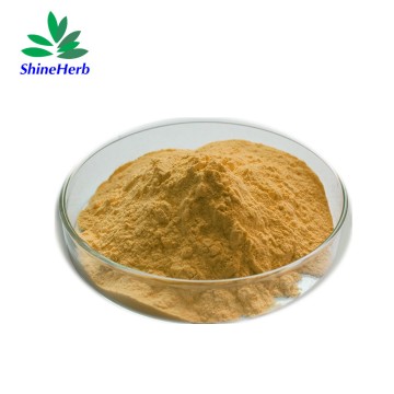 Großhandel mit Gymnemsäuren (Gymnema Sylvestre Extrakt)