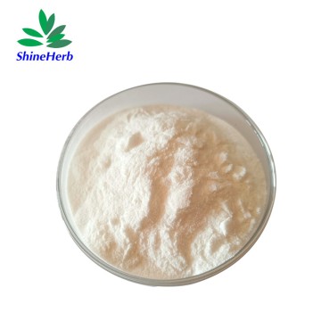 Bifidobacterium lactis Powder Bulk Probiotic Ingredient