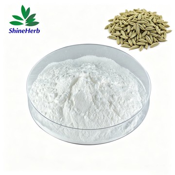 High Quality 98% Shikimic Acid Natural Aniseed Extract Raw Material