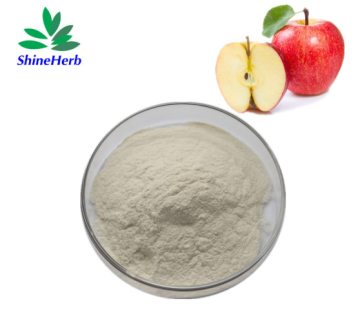 Wholesale Apple Cider Vinegar Powder