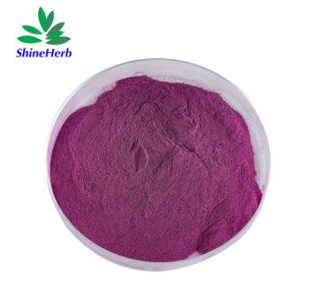 High Quality Beet Root Red Powder Food Grade Wholesale