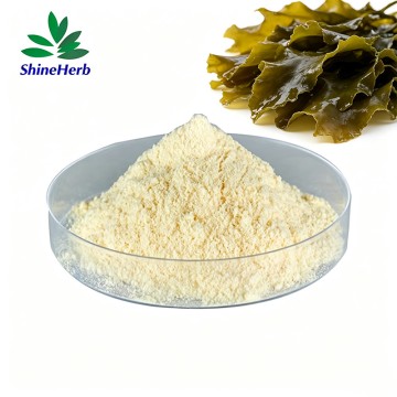 Brown algae extract CAS 9072-19-9 Pharmaceutical Grade Fucoidan powder