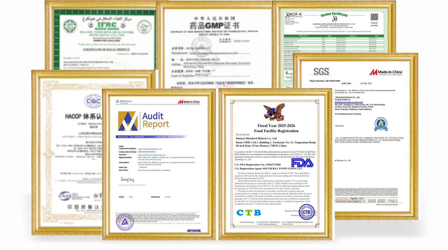 certificate-shineherb