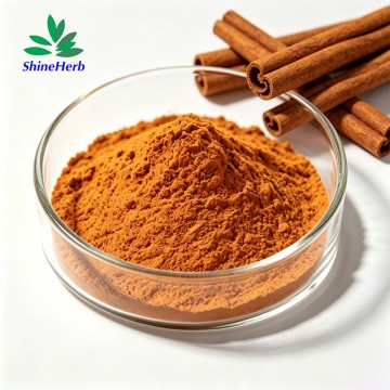 Shineherb Supply Cinnamon Bark Extract Bulk 10-30% Polyphenols