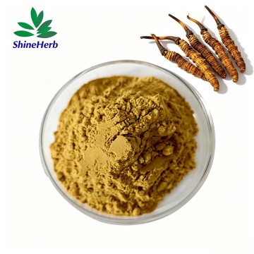 冬虫夏草提取物 50% 多糖粉末 散装批发