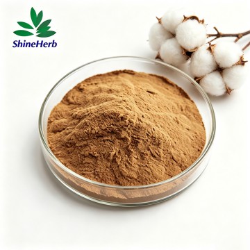 High Quality Cotton Seed Extract Natural Gossypium Hirsutum Seed Extract Powder