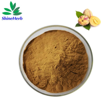 Ginseng Berry Extract Natural Ginseng Flower Extract Dietary Supplement