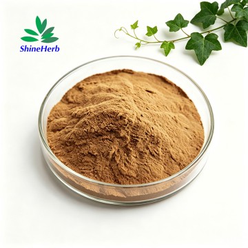 Natural Hedera Helix Extract Ivy Leaf Extract High Purity Hederacoside Plant Extract Powder