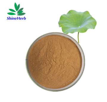 Shineherb Supply Lotus Leaf Extract Weight Loss Raw Material Nuciferine 2%-98%