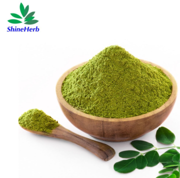 Factory Supply Moringa Leaf Powder Moringa Oleifera Extract Bulk Wholesale