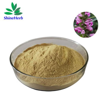 Factory Supply Natural Leonurus Japonicus Extract Powder Relief PMS Raw Material