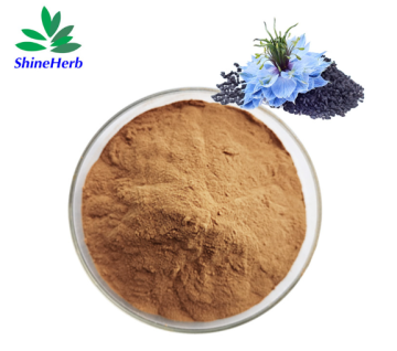 Wholesale Nigella Sativa Extract Pure Natural 5% 10% Thymoquinone