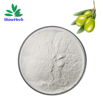 Shineherb suministra extracto de hoja de olivo al 98%, CAS 508-02-1, ácido oleanólico.