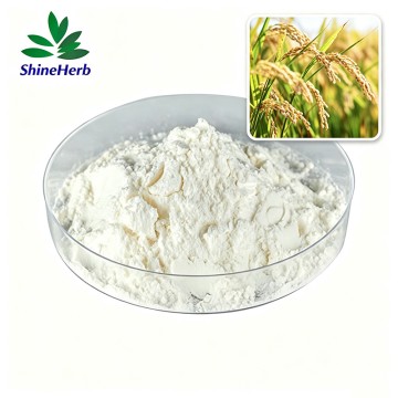 Polvo de gamma-orizanol al 98%, extracto natural de salvado de arroz, para suplementos y cosméticos.