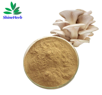 Wholesale Oyster Mushroom Extract for Dietary Supplement