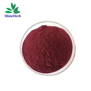 Pine Bark Extract Natural Proanthocyanidins 95% OPC Antioxidant Raw Materials