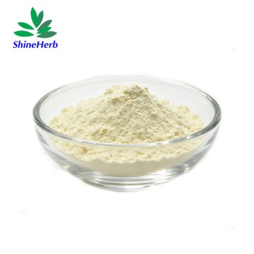 批发松花粉提取物 天然有机松花粉粉