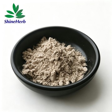 Bulk Psyllium Husk Powder for Loss Weight Ingredient