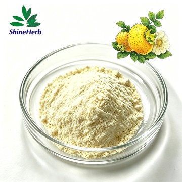 Extracto natural de Rosa Roxburghii Tratt para suplementos y cosméticos.